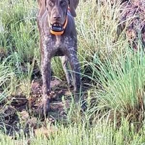 Meet your Posher, William